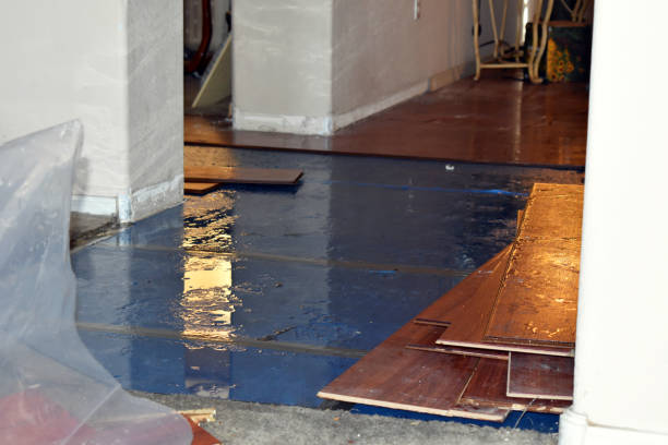 Professional Basement Flood Cleanup technician working in Glenwood, MD